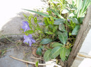 P1010156