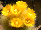 IMAG0022