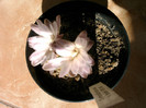 IMAG0026