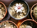 IMAG0032