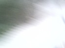 280312-1405(002)