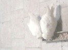 280312-1408
