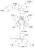 tatting-butterfly-dusenbury-schematic-number-1