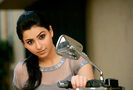 070711063506pic8
