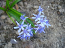 DSC05078