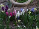 DSC04399