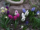 DSC04400