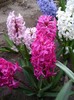 DSC04401