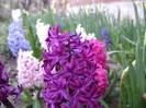 DSC04402