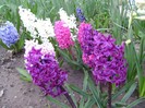 DSC04403