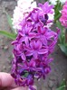 DSC04405