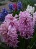DSC04407