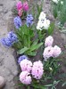 DSC04408