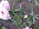 DSC04409