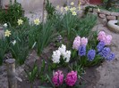 DSC04417