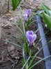 DSC04424