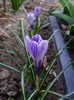 DSC04425