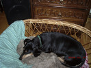 Kitty in 2006.