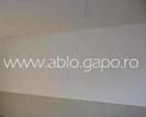Zugraveala alba 2