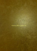 Zugraveala_decorativa_4