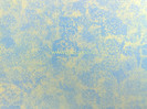 Zugraveala_decorativa_9