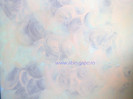 Zugraveala_decorativa_16