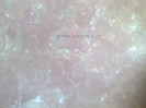 Zugraveala_decorativa_17