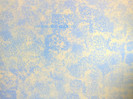 Zugraveala_decorativa_18