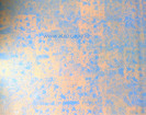 Zugraveala_decorativa_19