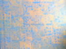 Zugraveala_decorativa_20