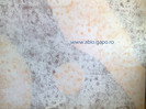 Zugraveala_decorativa_21
