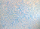 Zugraveala_decorativa_22