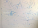 Zugraveala_decorativa_24