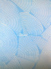 Zugraveala_decorativa_albasta_cu_alb_2