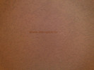 Zugraveala_decorativa_de_exterior_3