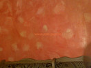 Zugraveala_decorativa_portocalie_cu_galben_1