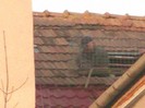 DSCF3914