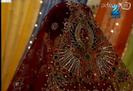 Choti Bahu 2 in Love [240]