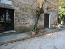 DSC03541
