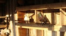 DSC04364