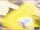 bscap0141