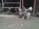 2012-03-29 19.34.33