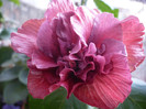 P1120248