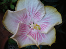 P1120258