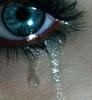 Deea cade jos intr`o balta de sanga...:[[