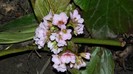 DSCN0632