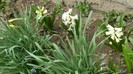 DSCN0646