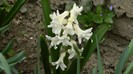 DSCN0649
