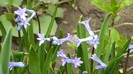 DSCN0652