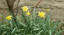 DSCN0655